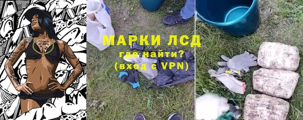 хмурый Няндома