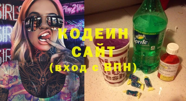 хмурый Няндома