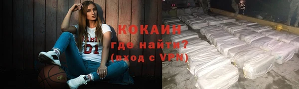 хмурый Няндома
