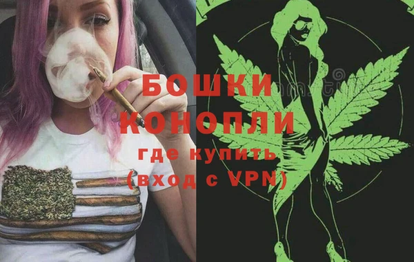 сатива Нягань