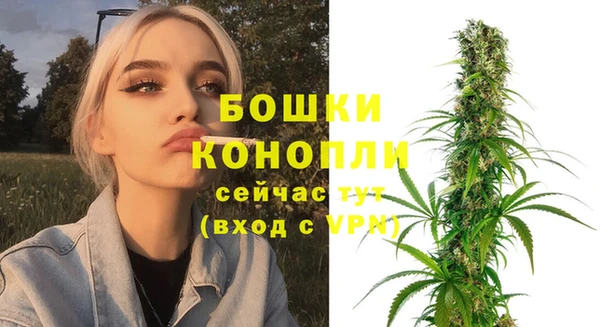 сатива Нягань