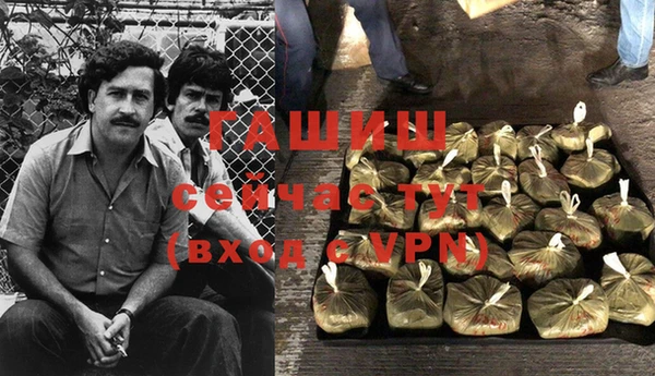 сатива Нягань