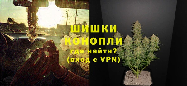сатива Нягань