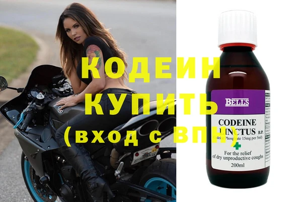 хмурый Няндома