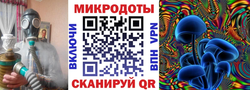 mega как зайти  наркотики  Кондрово  Галлюциногенные грибы GOLDEN TEACHER 